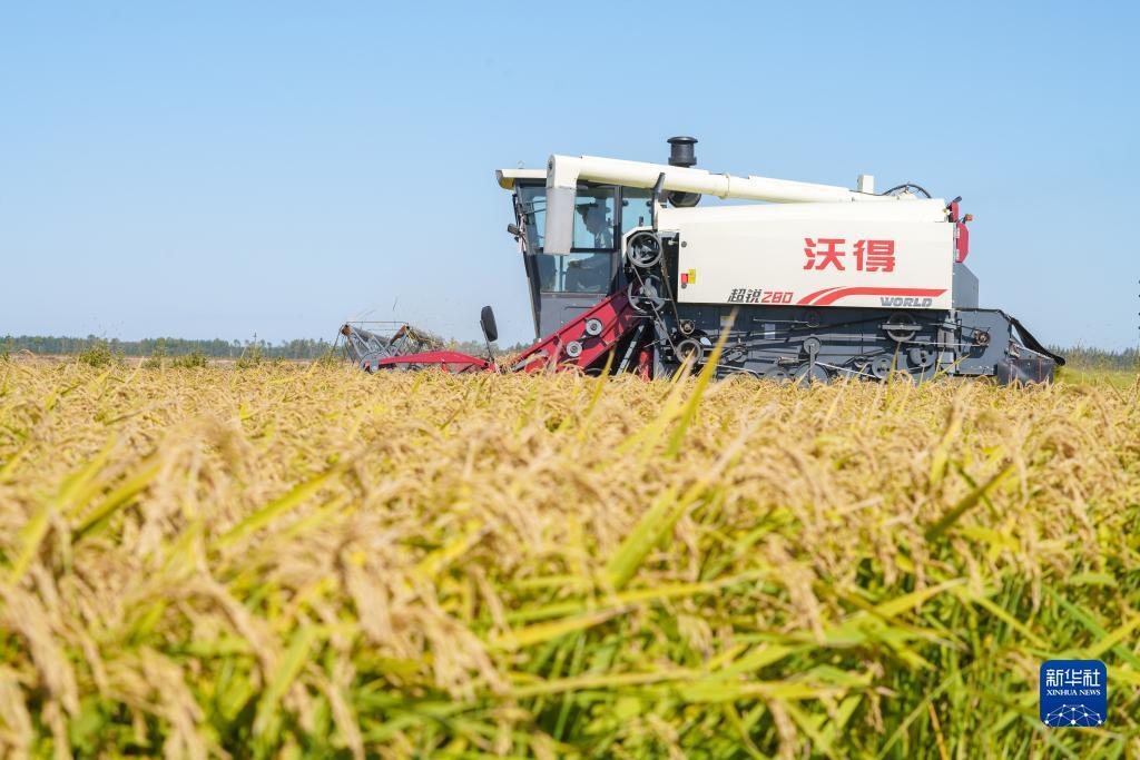 缅甸新百胜开户